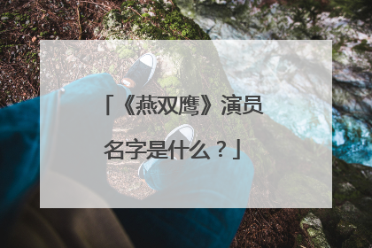 《燕双鹰》演员名字是什么？