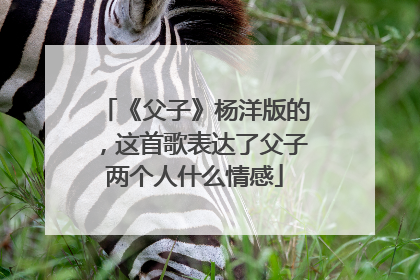 《父子》杨洋版的，这首歌表达了父子两个人什么情感