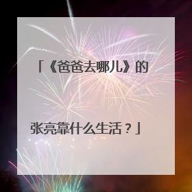 《爸爸去哪儿》的张亮靠什么生活？