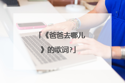《爸爸去哪儿》的歌词?