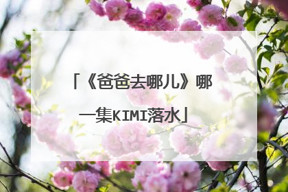 《爸爸去哪儿》哪一集KIMI落水