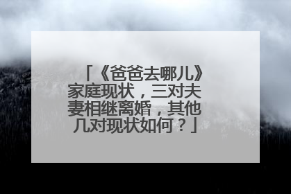 《爸爸去哪儿》家庭现状，三对夫妻相继离婚，其他几对现状如何？