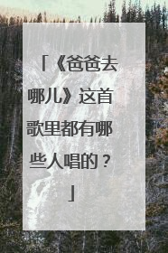 《爸爸去哪儿》这首歌里都有哪些人唱的？