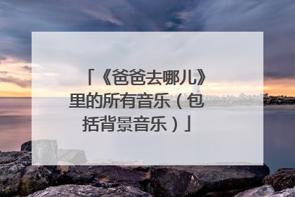 《爸爸去哪儿》里的所有音乐（包括背景音乐）