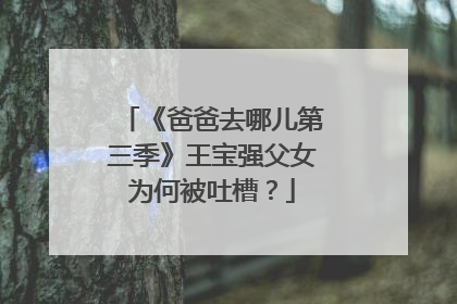 《爸爸去哪儿第三季》王宝强父女为何被吐槽?