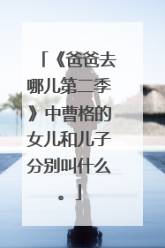 《爸爸去哪儿第二季》中曹格的女儿和儿子分别叫什么。