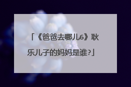 《爸爸去哪儿6》耿乐儿子的妈妈是谁?