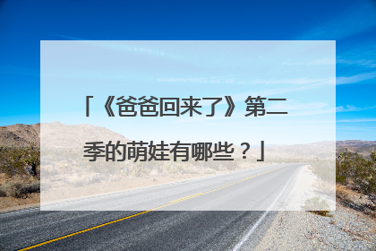 《爸爸回来了》第二季的萌娃有哪些?