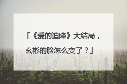《爱的迫降》大结局，玄彬的脸怎么变了？