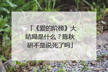 《爱的阶梯》大结局是什么？陈秋研不是说死了吗