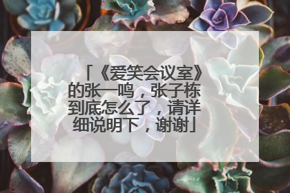 《爱笑会议室》的张一鸣，张子栋到底怎么了，请详细说明下，谢谢