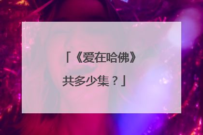 《爱在哈佛》共多少集？