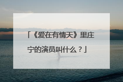 《爱在有情天》里庄宁的演员叫什么?