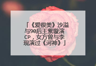 《爱很美》沙溢与90后王紫璇演CP，女方曾与李现演过《河神》