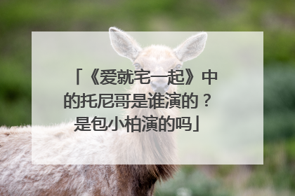 《爱就宅一起》中的托尼哥是谁演的?是包小柏演的吗