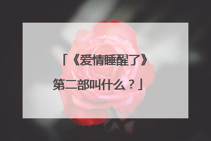 《爱情睡醒了》第二部叫什么？