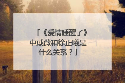 《爱情睡醒了》中戚薇和徐正曦是什么关系?
