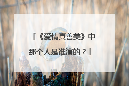 《爱情真善美》中那个人是谁演的?