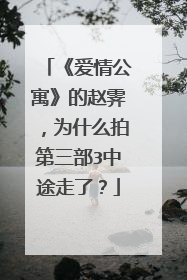 《爱情公寓》的赵霁,为什么拍第三部3中途走了?
