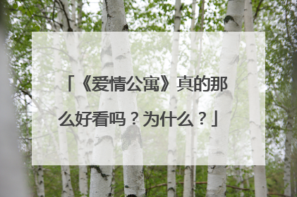《爱情公寓》真的那么好看吗？为什么？