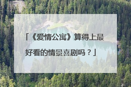 《爱情公寓》算得上最好看的情景喜剧吗？