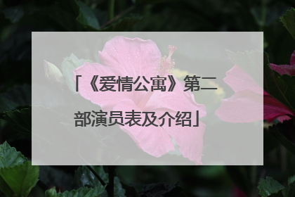 《爱情公寓》第二部演员表及介绍