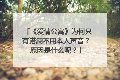 《爱情公寓》为何只有诺澜不用本人声音？原因是什么呢？