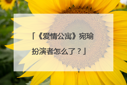 《爱情公寓》宛瑜扮演者怎么了?