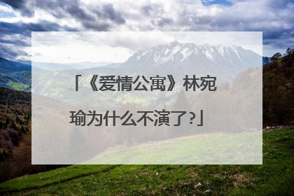 《爱情公寓》林宛瑜为什么不演了?
