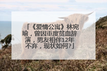 《爱情公寓》林宛瑜,曾因重度贫血辞演,男友相伴12年不弃,现状如何?