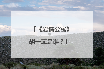 《爱情公寓》胡一菲是谁？