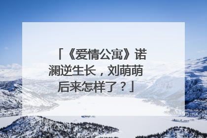 《爱情公寓》诺澜逆生长,刘萌萌后来怎样了?