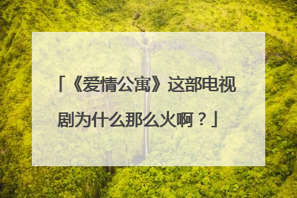 《爱情公寓》这部电视剧为什么那么火啊?