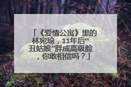 《爱情公寓》里的林宛瑜，11年后“丑姑娘”胖成高级脸，你敢相信吗？