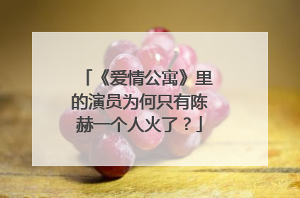 《爱情公寓》里的演员为何只有陈赫一个人火了？