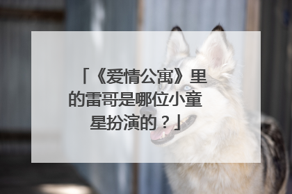 《爱情公寓》里的雷哥是哪位小童星扮演的?