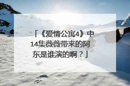 《爱情公寓4》中14集薇薇带来的阿东是谁演的啊？