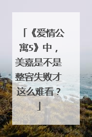 《爱情公寓5》中,美嘉是不是整容失败才这么难看?