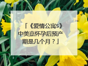 《爱情公寓5》中美嘉怀孕后预产期是几个月？