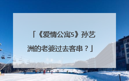 《爱情公寓5》孙艺洲的老婆过去客串?