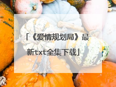《爱情规划局》最新txt全集下载