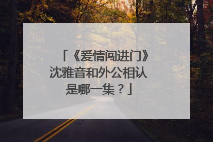 《爱情闯进门》沈雅音和外公相认是哪一集?