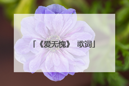 《爱无愧》 歌词