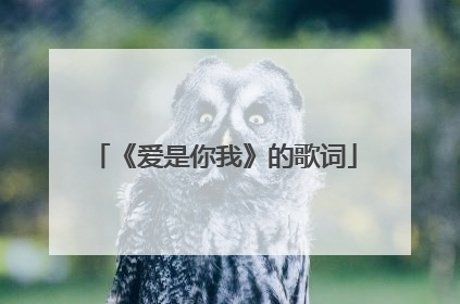 《爱是你我》的歌词