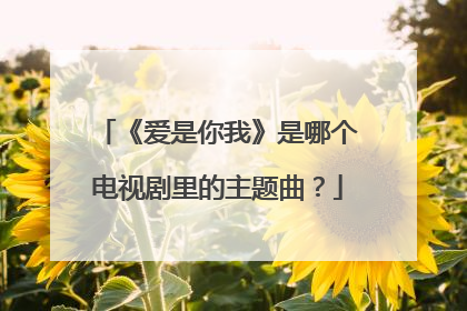 《爱是你我》是哪个电视剧里的主题曲？