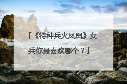 《特种兵火凤凰》女兵你最喜欢哪个？