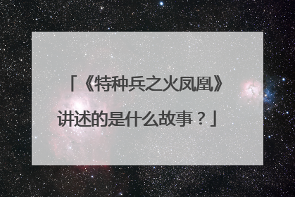 《特种兵之火凤凰》讲述的是什么故事?
