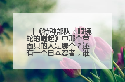 《特种部队:眼镜蛇的崛起》中那个带面具的人是哪个?还有一个日本忍者,谁演的,他的资料?