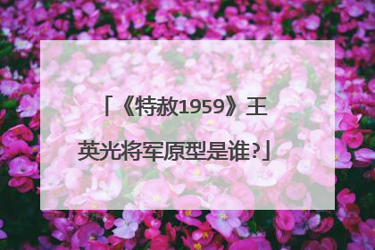 《特赦1959》王英光将军原型是谁?