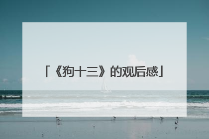 《狗十三》的观后感